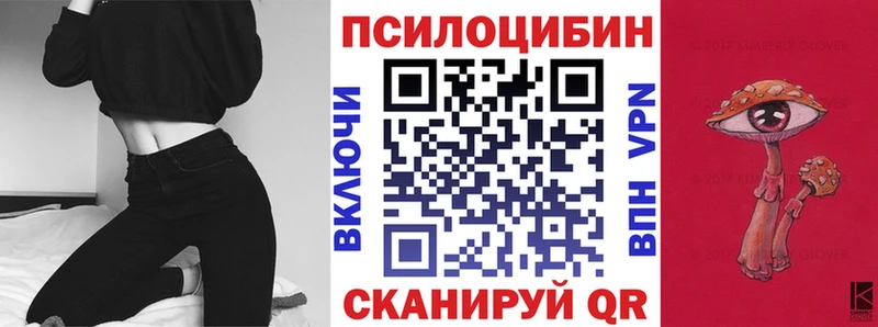 как найти наркотики Сухиничи Псилоцибиновые грибы MAGIC MUSHROOMS